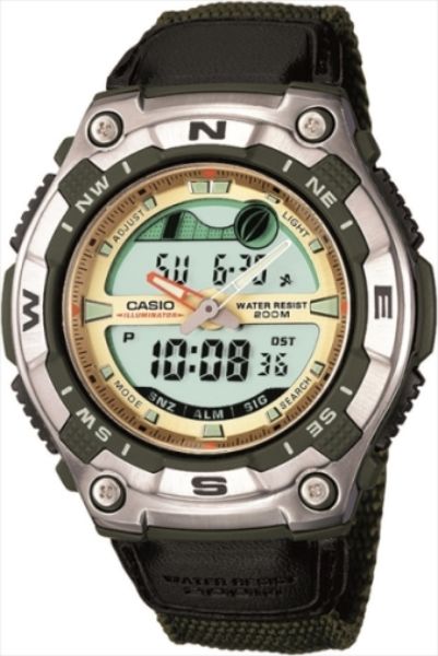 Casio AQW100B-3AV