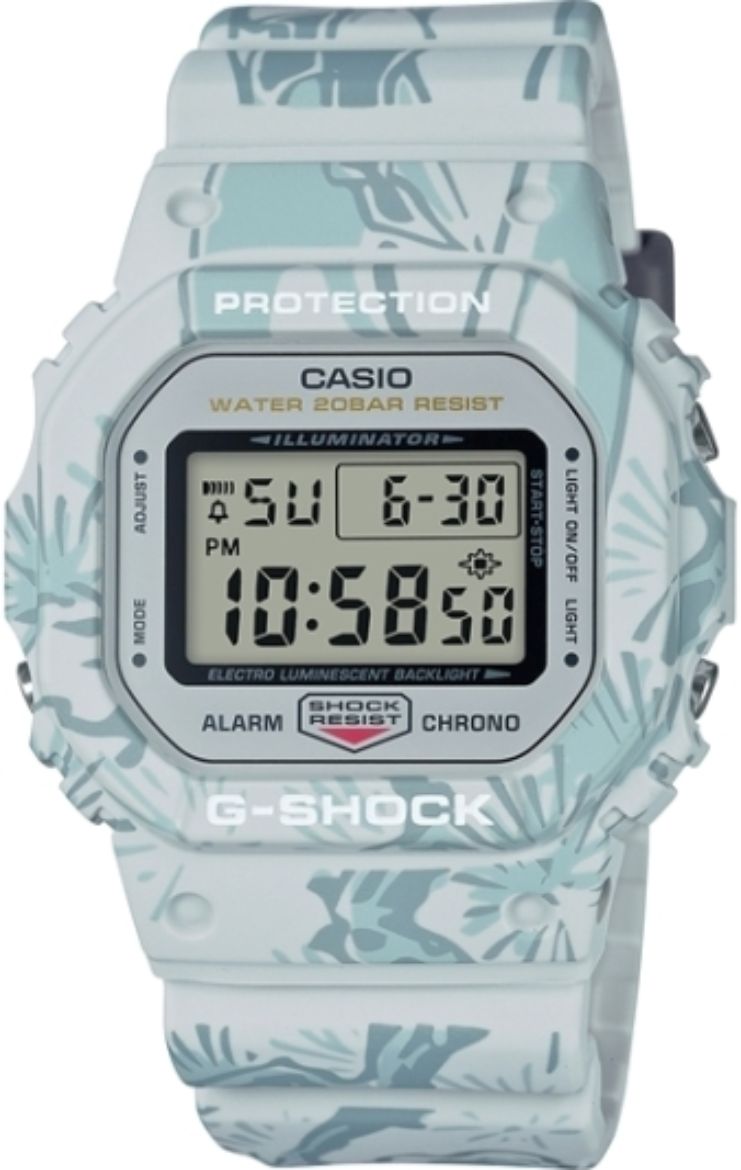 DW5600SLG7.jpg