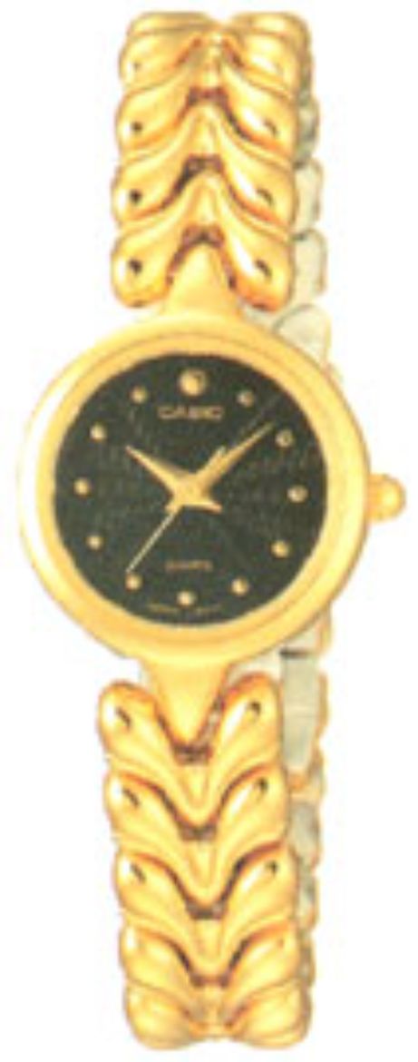LTP2024N1A.jpg