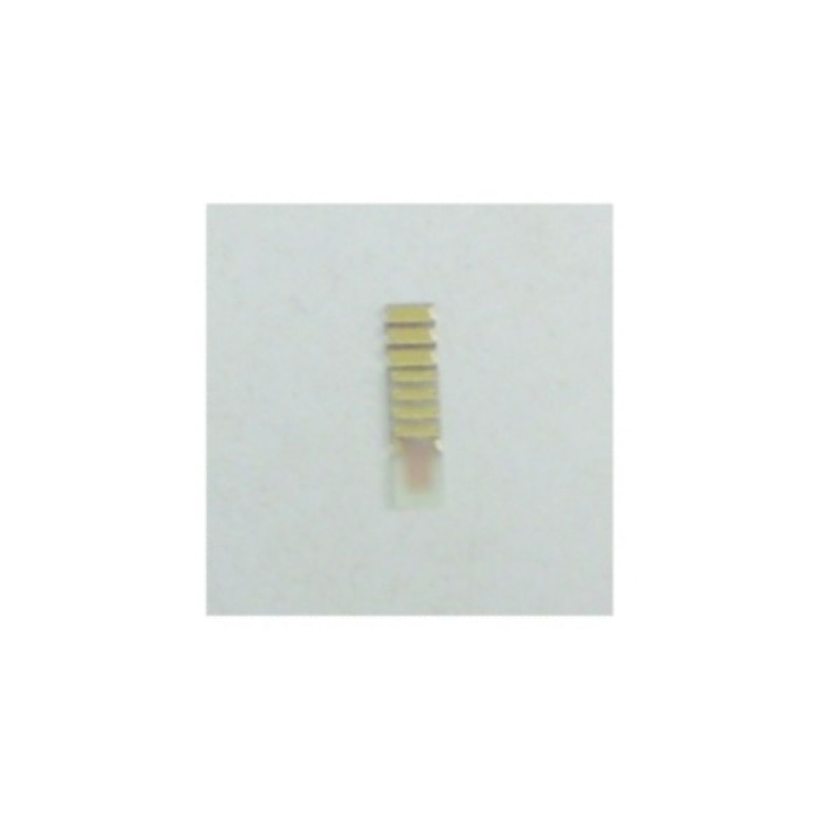 CTX1095.jpg
