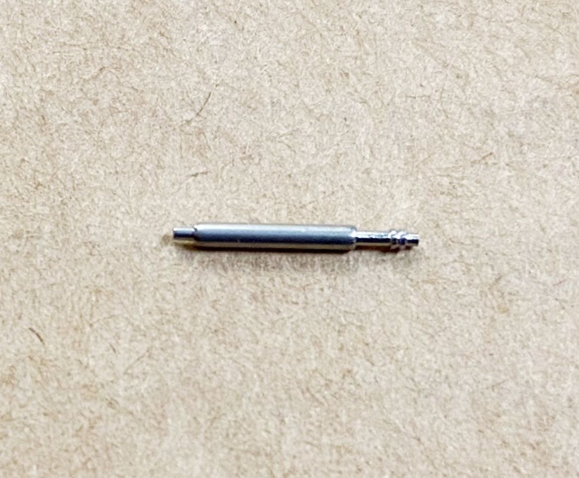 10596061.jpg