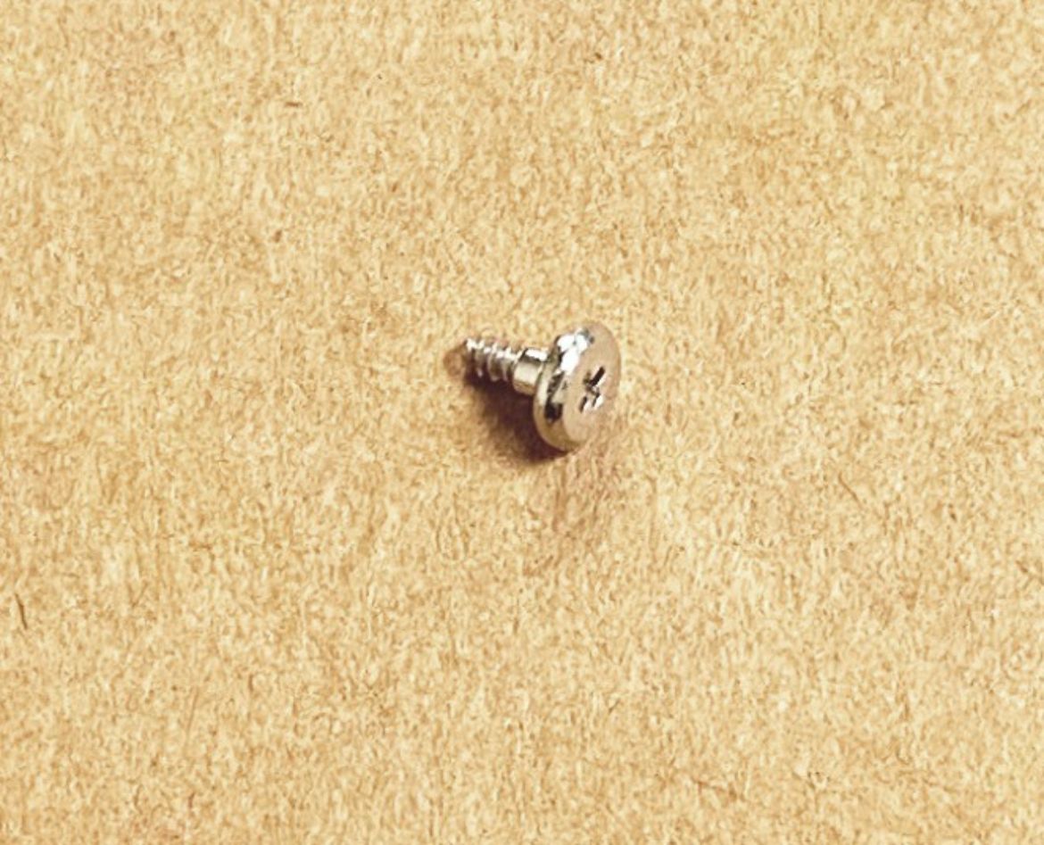 10309171.jpg