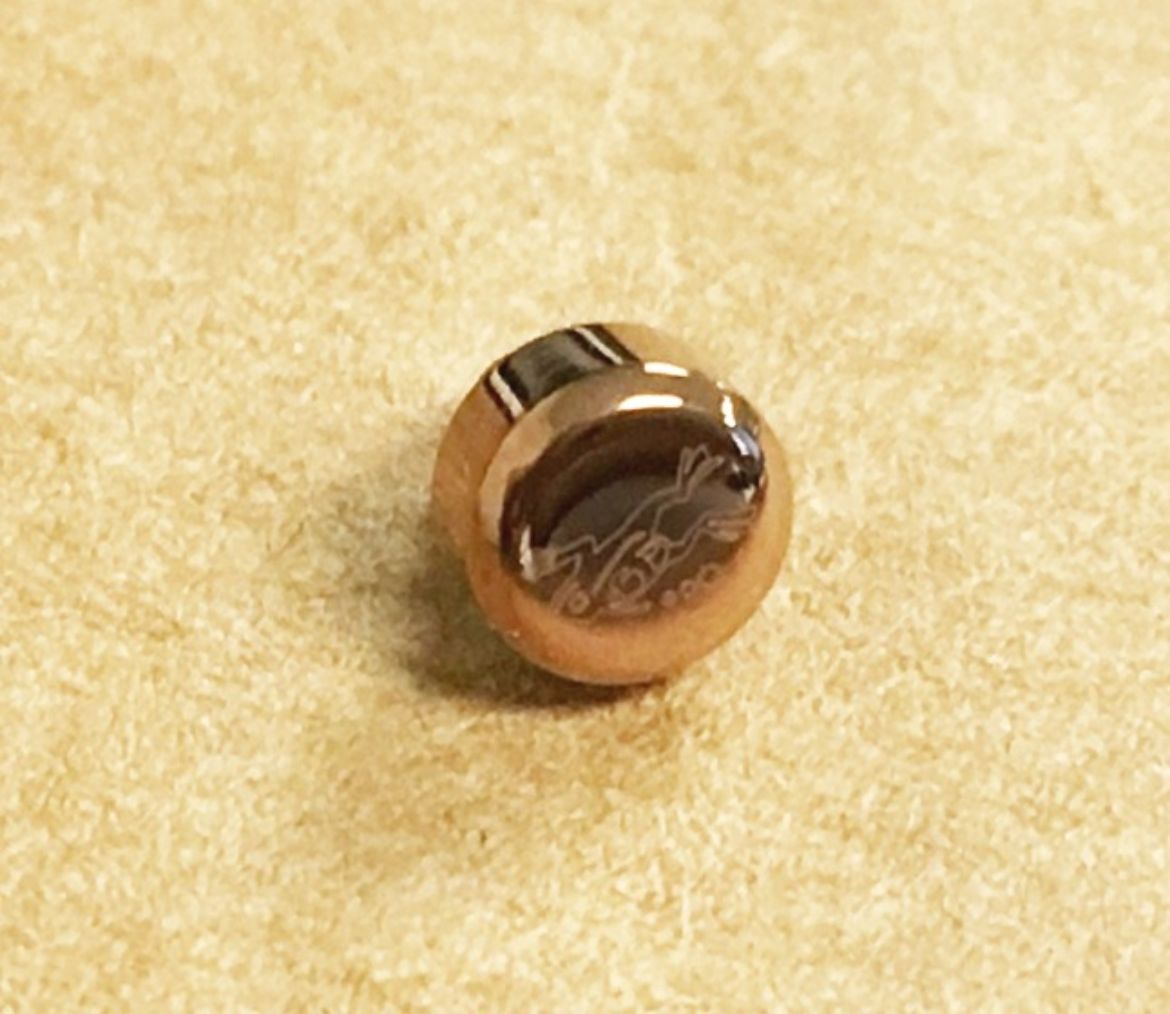 10581208.jpg