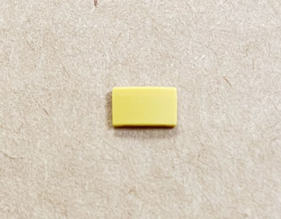 10630772.jpg