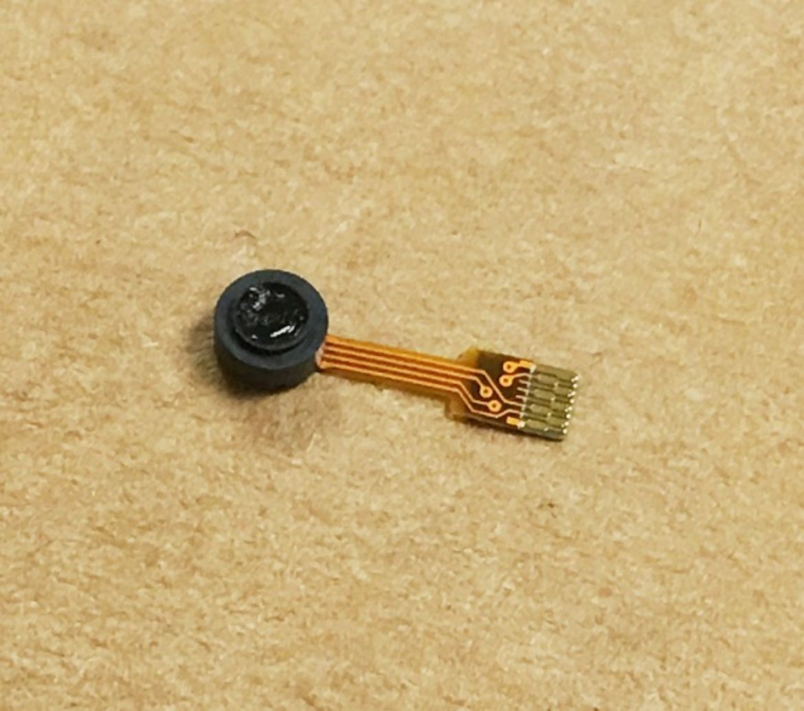 10500185.jpg