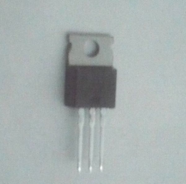 48T25064Y02.jpg