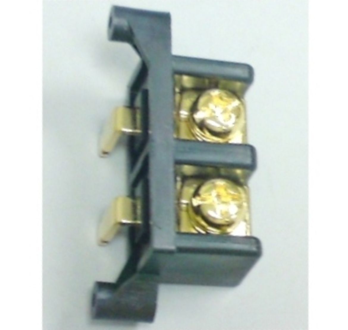 E70080405.jpg
