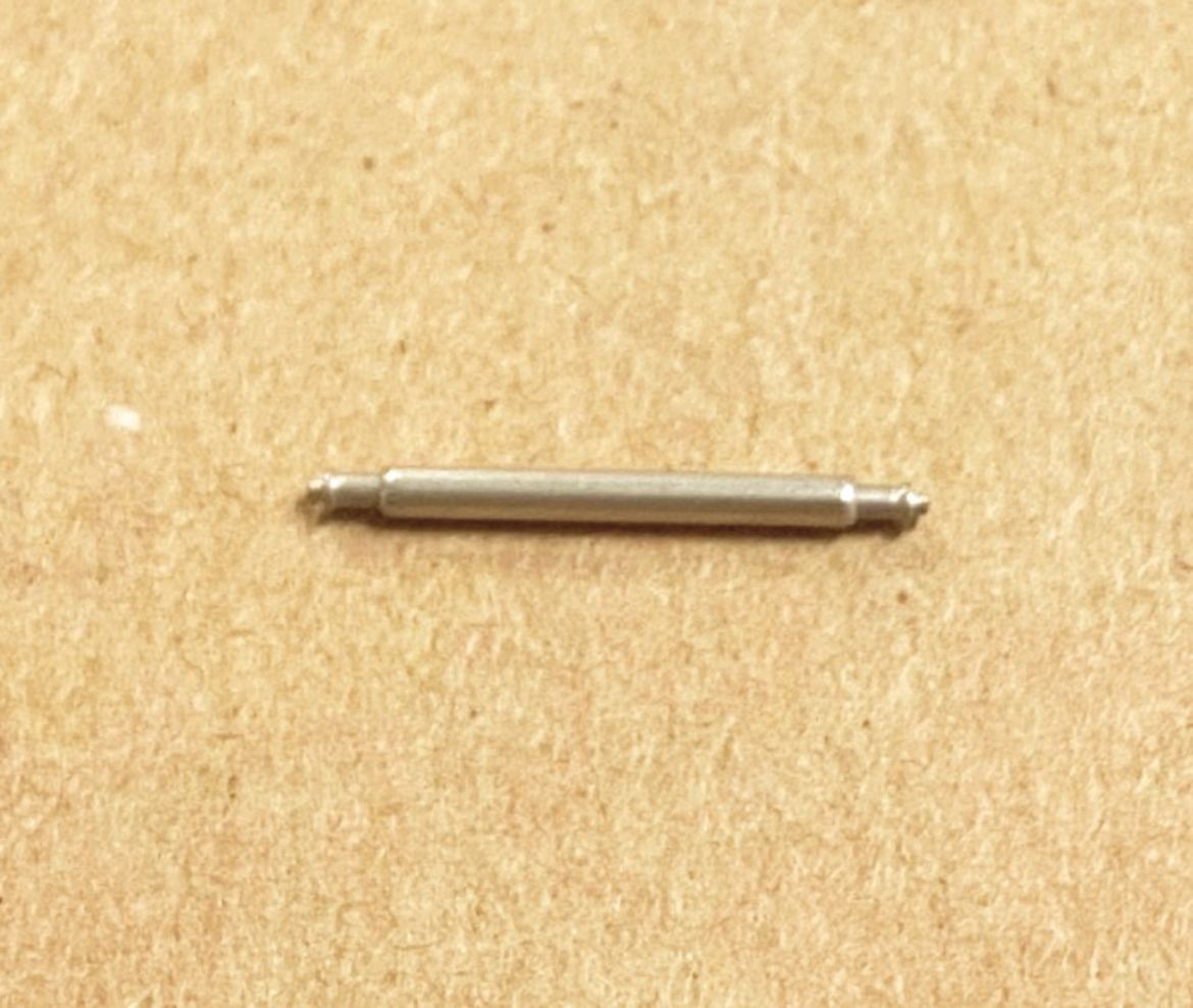 10202341.jpg