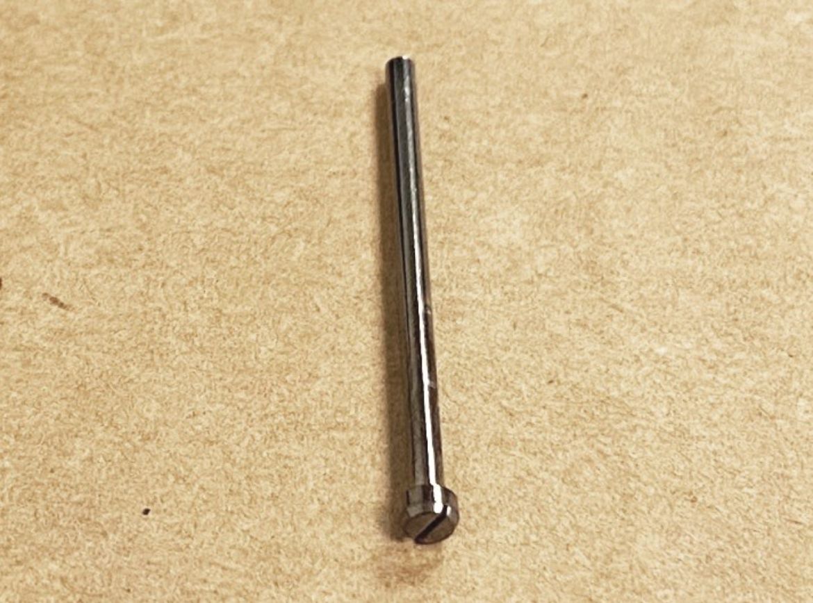 10358341.jpg
