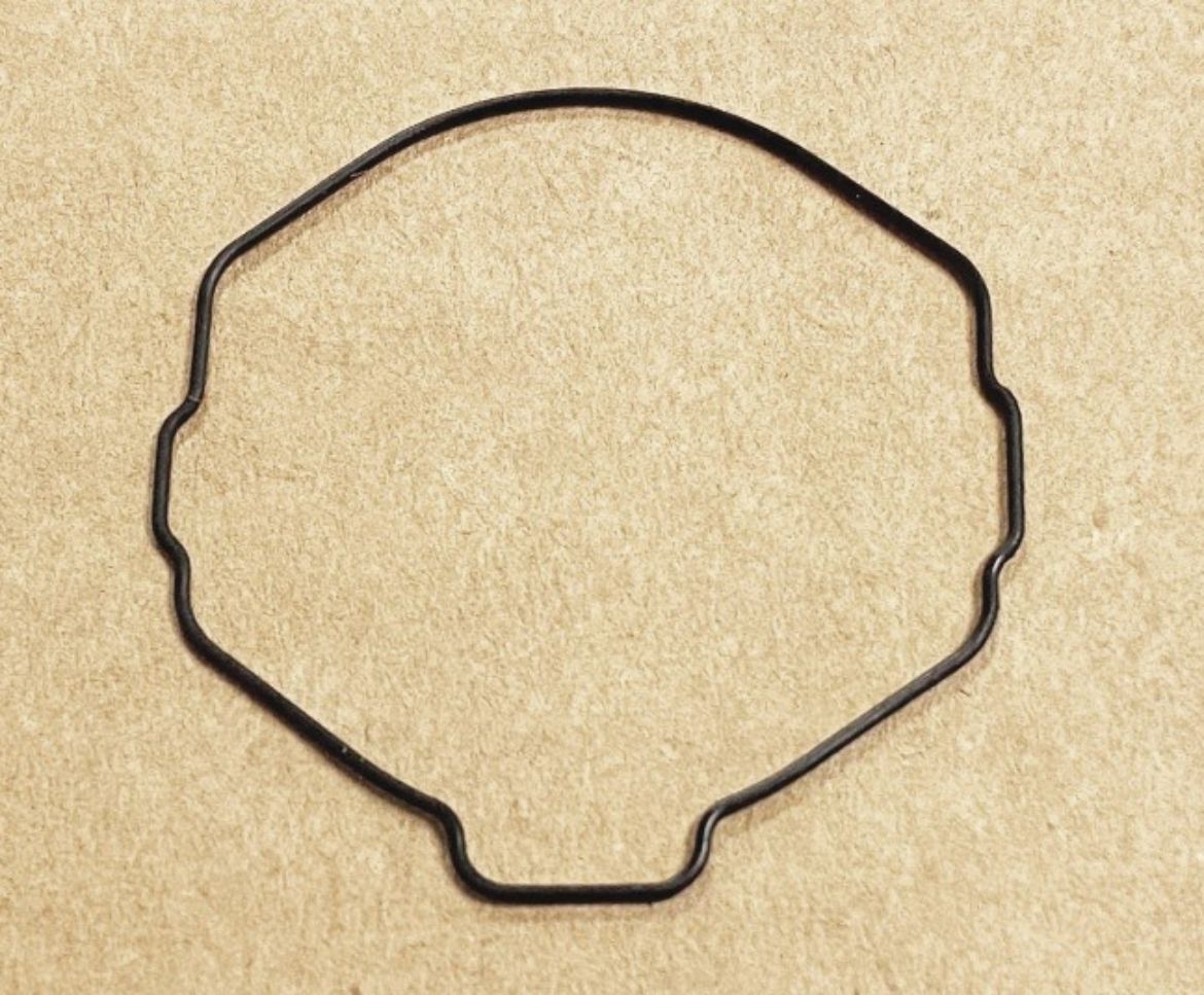 10045819.jpg