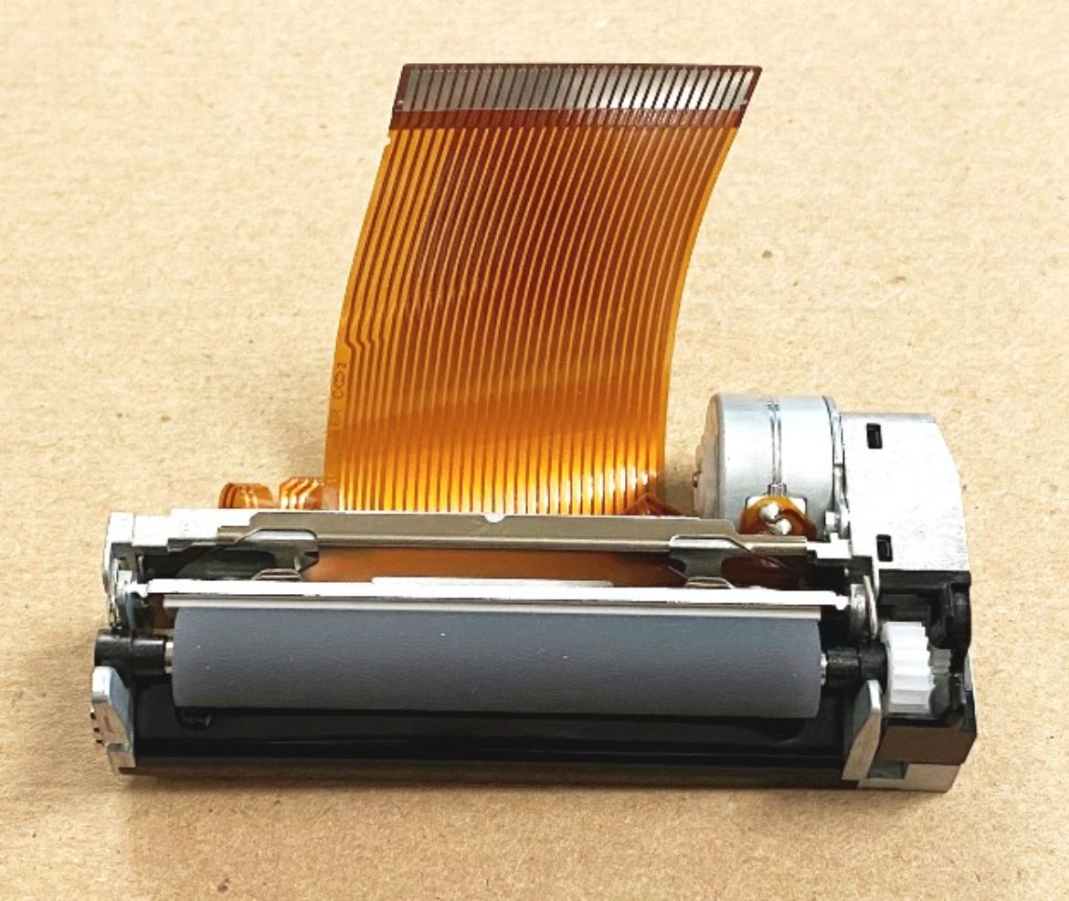 Imagen de Casio CAS-10272412